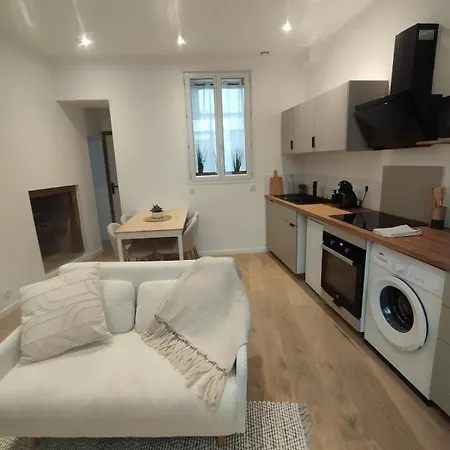 Duplex Centre Historique - Chateau Et Loire - Confort Elegant Et Calme *